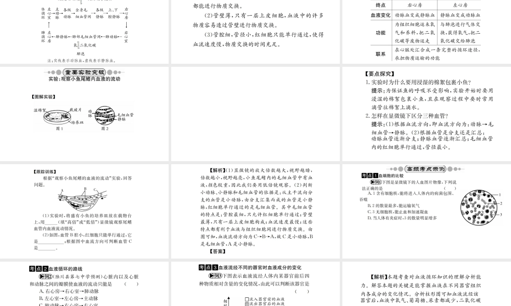 （广西玉林地区）中考生物 知识系统复习 第四单元 第四章 人体内物质的运输课件-人教级全册生物课件