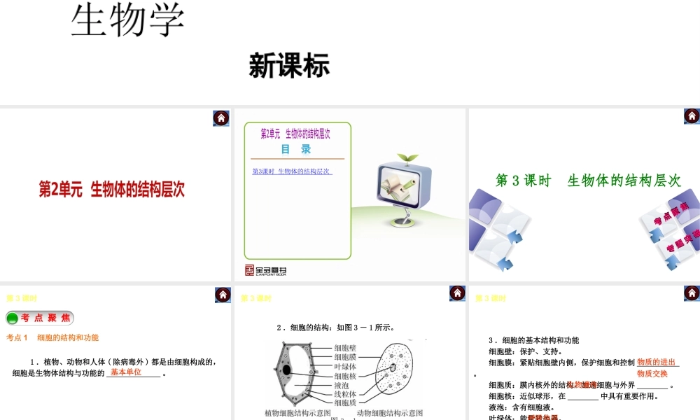 （新课标）2014中考生物复习方案 第2单元 生物体的结构层次（考点聚焦+归类探究+回归教材）课件 苏教版