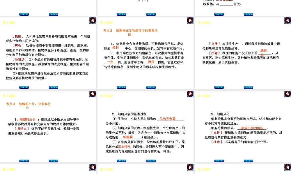 （新课标）2014中考生物复习方案 第2单元 生物体的结构层次（考点聚焦+归类探究+回归教材）课件 苏教版