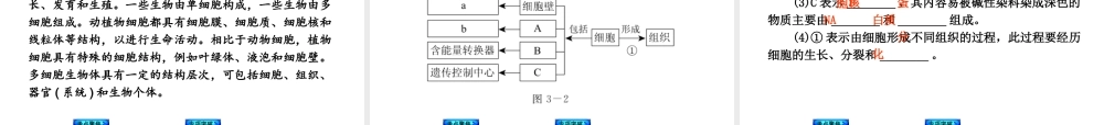 （新课标）2014中考生物复习方案 第2单元 生物体的结构层次（考点聚焦+归类探究+回归教材）课件 苏教版