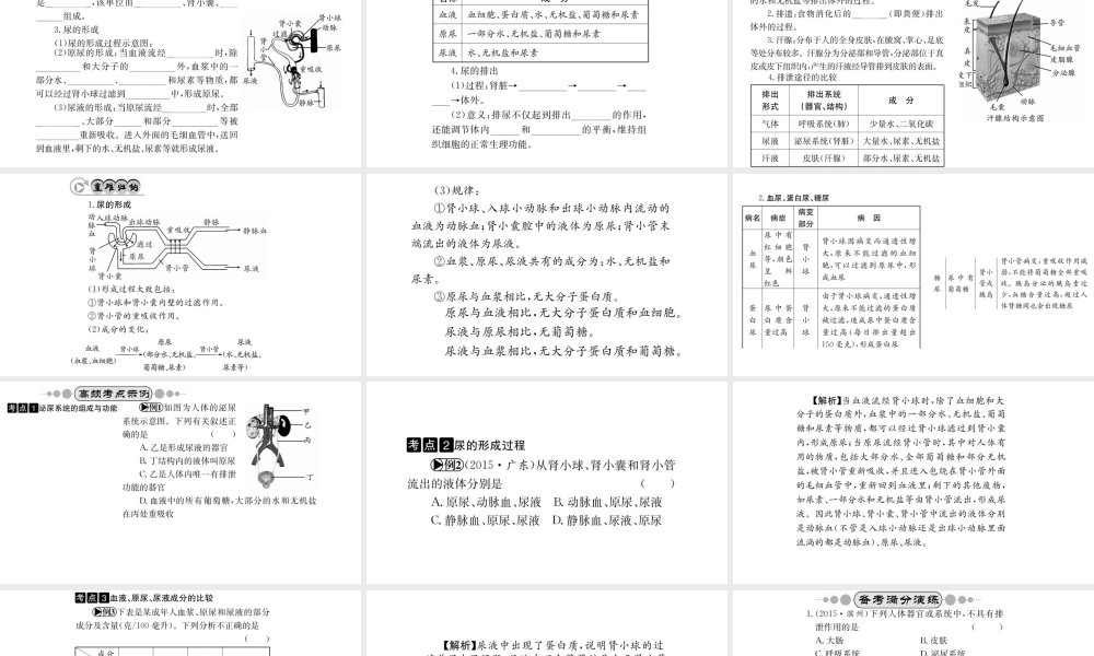 （广西玉林地区）中考生物 知识系统复习 第四单元 第五章 人体内废物的排除课件-人教版初中九年级全册生物课件