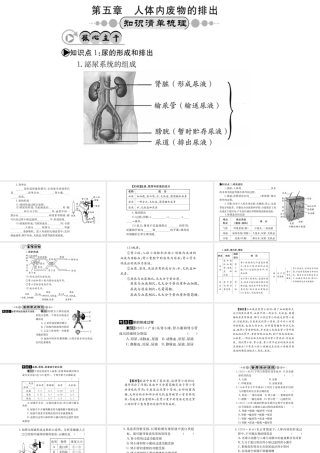 （广西玉林地区）中考生物 知识系统复习 第四单元 第五章 人体内废物的排除课件-人教版初中九年级全册生物课件