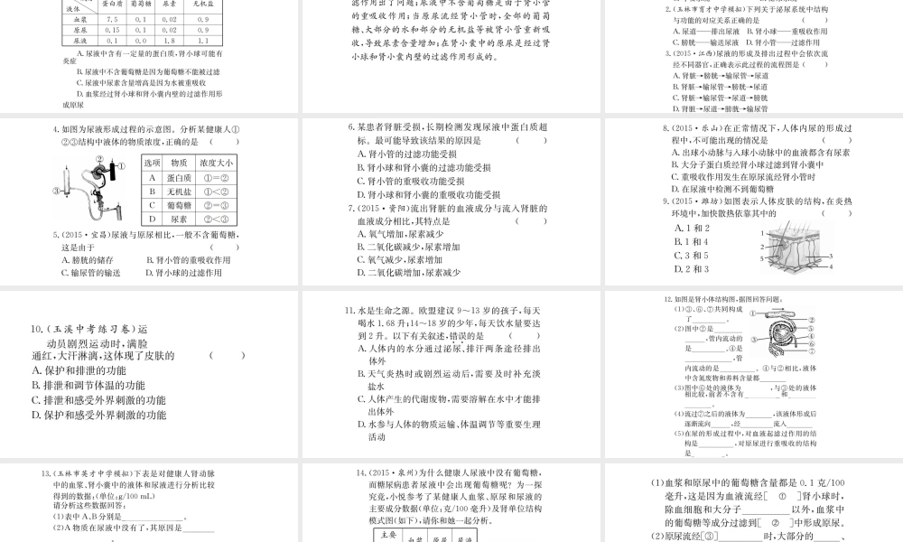 （广西玉林地区）中考生物 知识系统复习 第四单元 第五章 人体内废物的排除课件-人教级全册生物课件