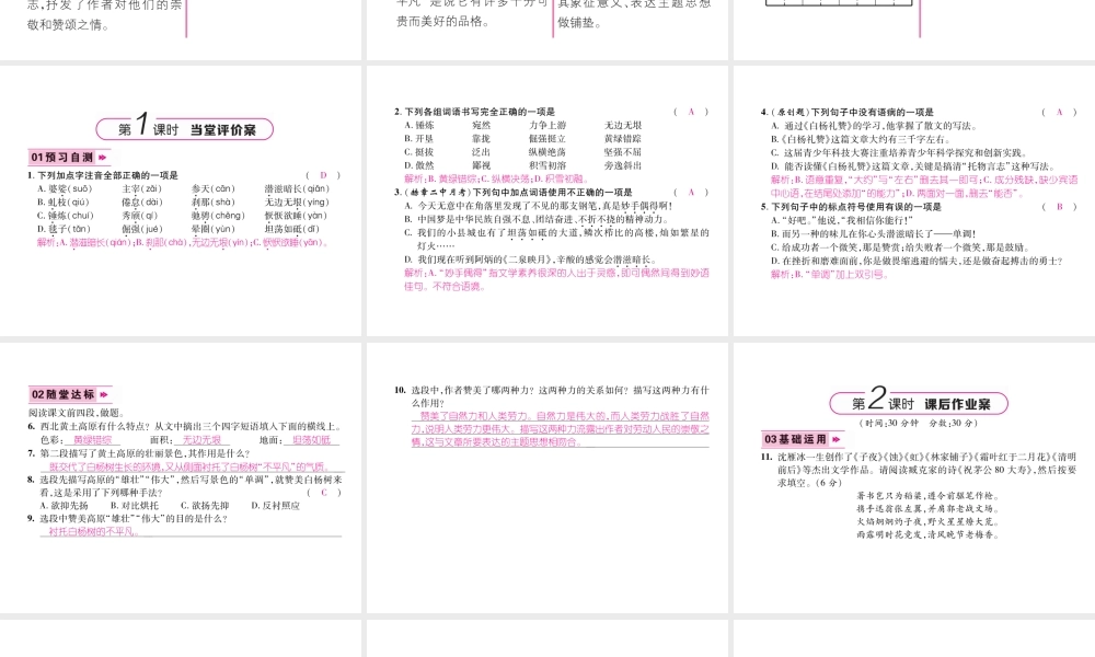 （毕节专版）八年级语文上册 第四单元 14 白杨礼赞习题课件 新人教版-新人教版初中八年级上册语文课件