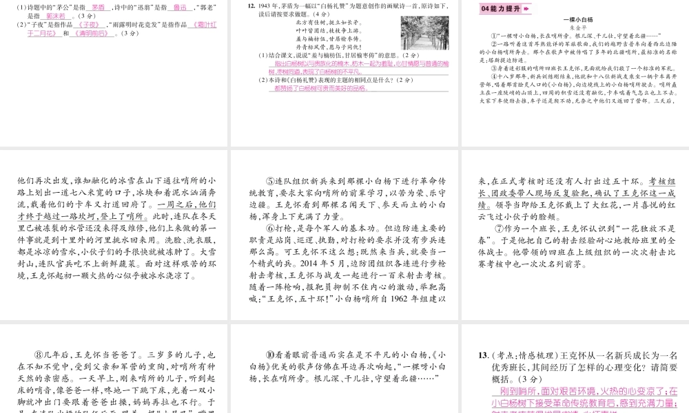 （毕节专版）八年级语文上册 第四单元 14 白杨礼赞习题课件 新人教版-新人教版初中八年级上册语文课件