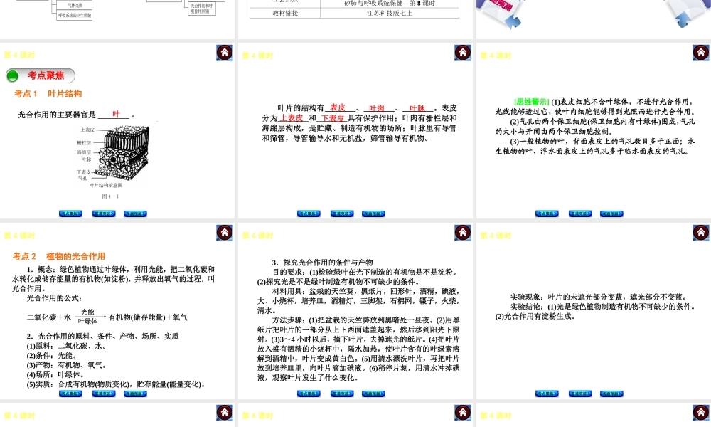 （新课标）2014中考生物复习方案 第3单元 生物从环境中获取物质和能量（考点聚焦+重难突破+考题预测）课件 苏科版