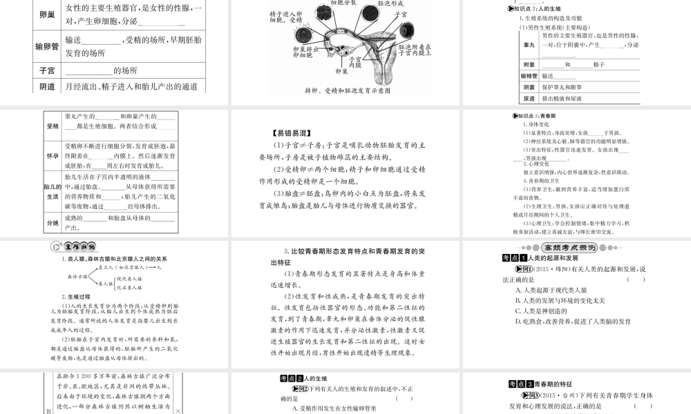 （广西玉林地区）中考生物 知识系统复习 第四单元 第一章 人的由来课件-人教版初中九年级全册生物课件