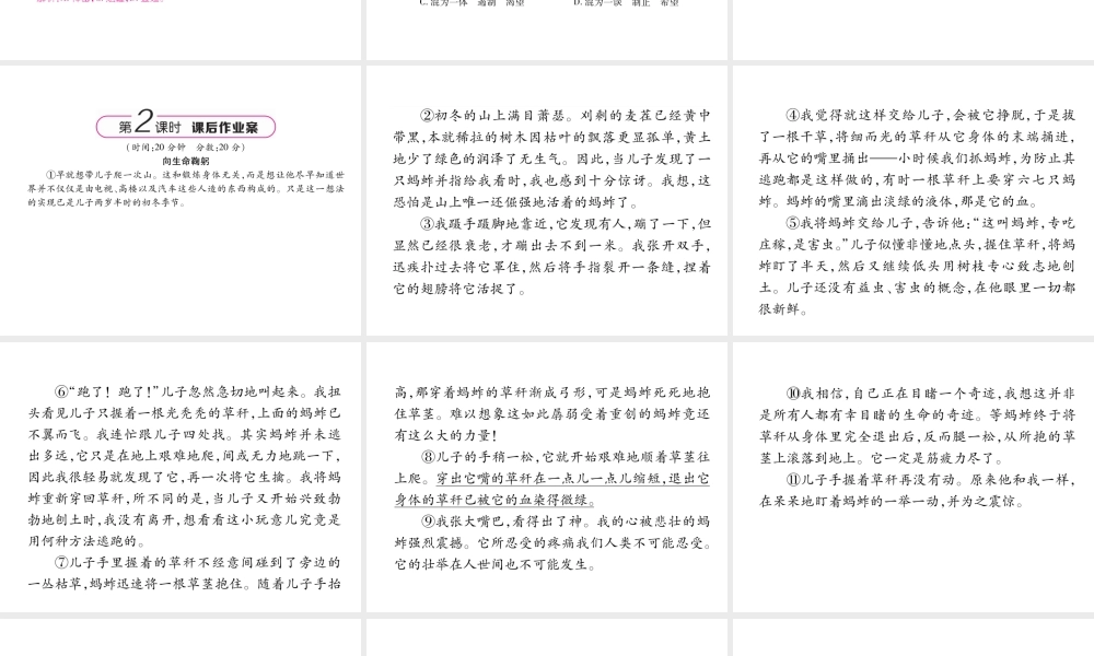 （毕节专版）八年级语文上册 第四单元 15 散文二篇习题课件 新人教版-新人教版初中八年级上册语文课件