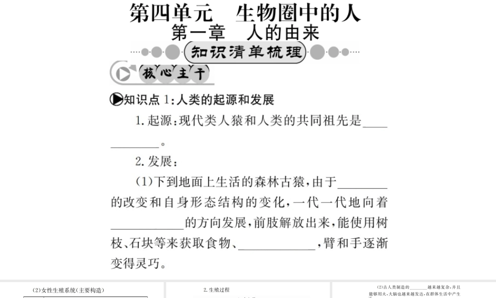 （广西玉林地区）中考生物 知识系统复习 第四单元 第一章 人的由来课件-人教级全册生物课件