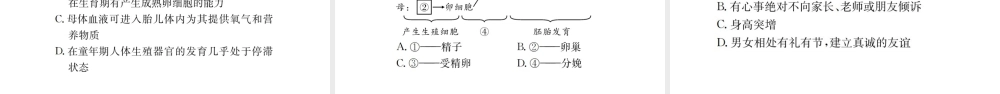 （广西玉林地区）中考生物 知识系统复习 第四单元 第一章 人的由来课件-人教级全册生物课件