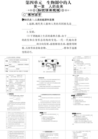 （广西玉林地区）中考生物 知识系统复习 第四单元 第一章 人的由来课件-人教级全册生物课件