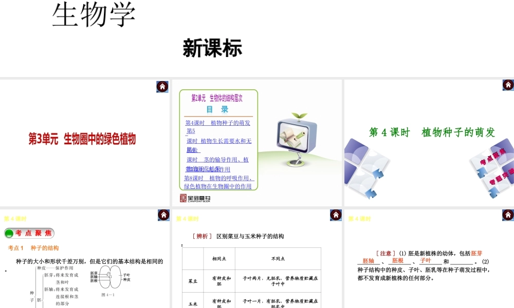 （新课标）2014中考生物复习方案 第3单元 生物圈中的绿色植物（考点聚焦+归类探究+回归教材）课件 苏教版
