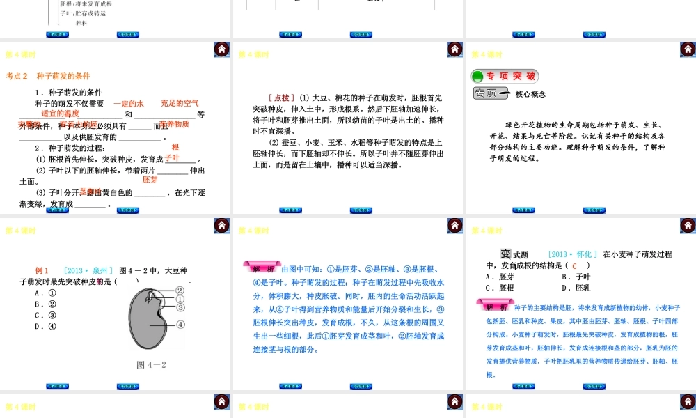 （新课标）2014中考生物复习方案 第3单元 生物圈中的绿色植物（考点聚焦+归类探究+回归教材）课件 苏教版