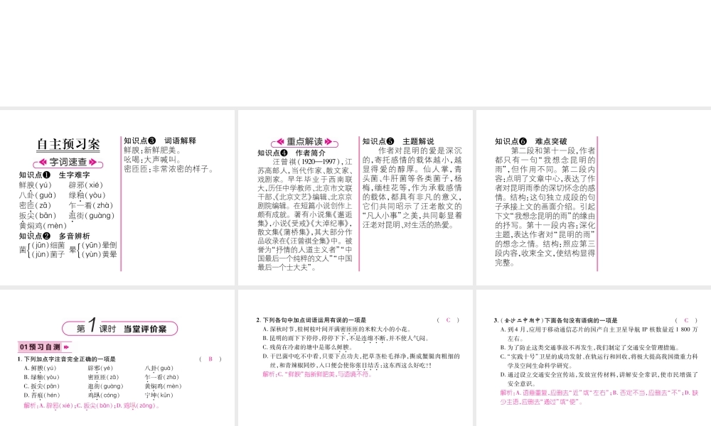 （毕节专版）八年级语文上册 第四单元 16 昆明的雨习题课件 新人教版-新人教版初中八年级上册语文课件