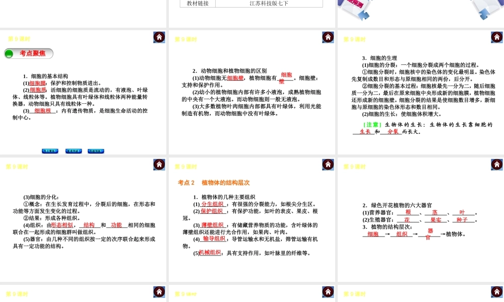 （新课标）2014中考生物复习方案 第4单元 环境中生物的统一性（考点聚焦+重难突破+考题预测）课件 苏科版