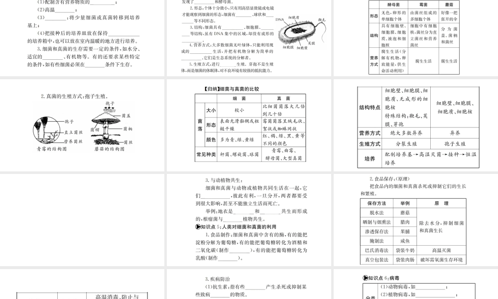 （广西玉林地区）中考生物 知识系统复习 第五单元 第4-5章课件-人教版初中九年级全册生物课件
