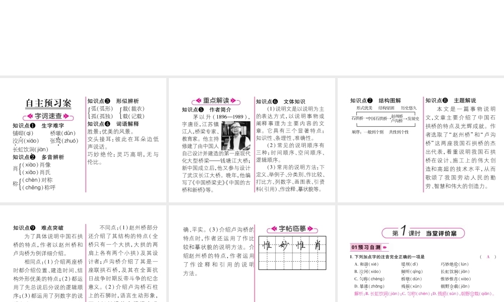 （毕节专版）八年级语文上册 第五单元 17 中国石拱桥习题课件 新人教版-新人教版初中八年级上册语文课件