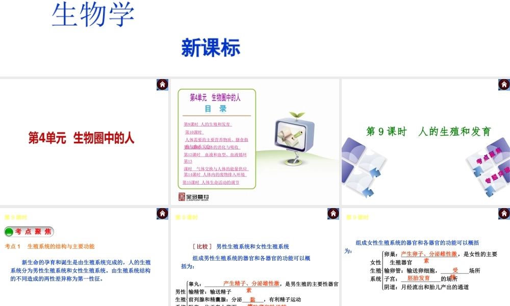 （新课标）2014中考生物复习方案 第4单元 生物圈中的人（考点聚焦+归类探究+回归教材）课件 苏教版