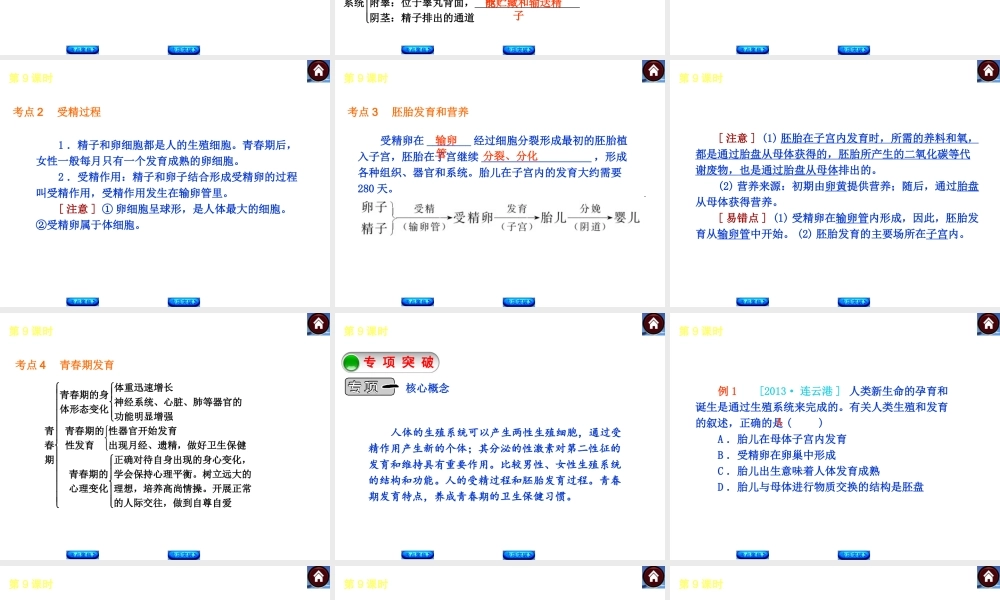 （新课标）2014中考生物复习方案 第4单元 生物圈中的人（考点聚焦+归类探究+回归教材）课件 苏教版