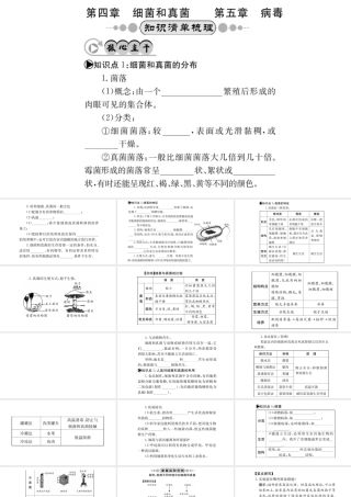 （广西玉林地区）中考生物 知识系统复习 第五单元 第4-5章课件-人教级全册生物课件