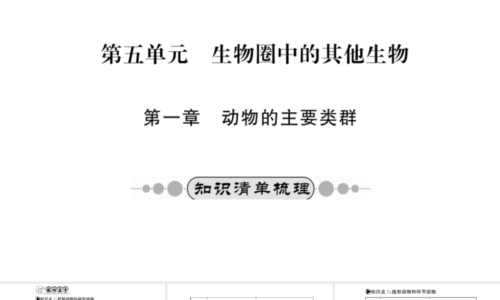（广西玉林地区）中考生物 知识系统复习 第五单元 第一章 动物的主要类群课件-人教版初中九年级全册生物课件
