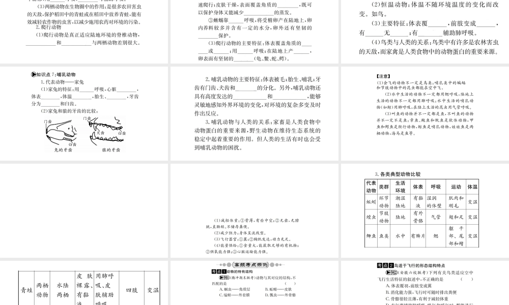 （广西玉林地区）中考生物 知识系统复习 第五单元 第一章 动物的主要类群课件-人教版初中九年级全册生物课件