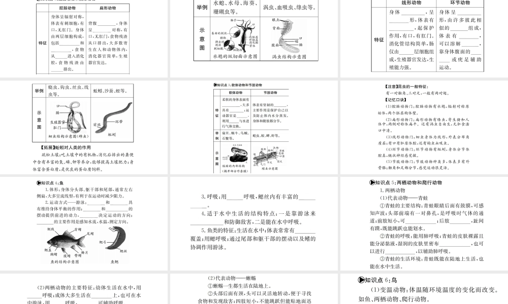 （广西玉林地区）中考生物 知识系统复习 第五单元 第一章 动物的主要类群课件-人教级全册生物课件