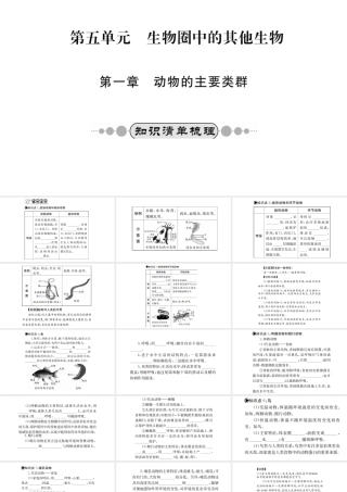 （广西玉林地区）中考生物 知识系统复习 第五单元 第一章 动物的主要类群课件-人教级全册生物课件