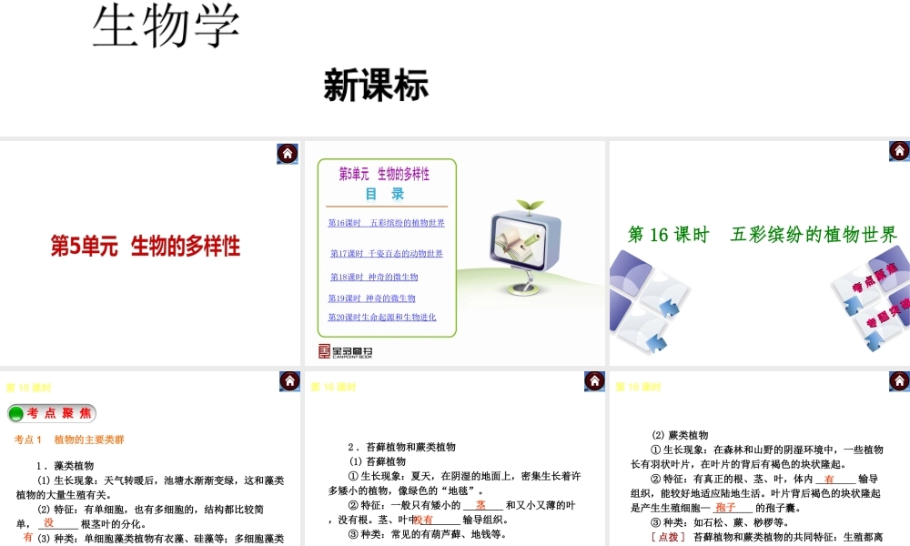 （新课标）2014中考生物复习方案 第5单元  生物的多样性（考点聚焦+归类探究+回归教材）课件 苏教版