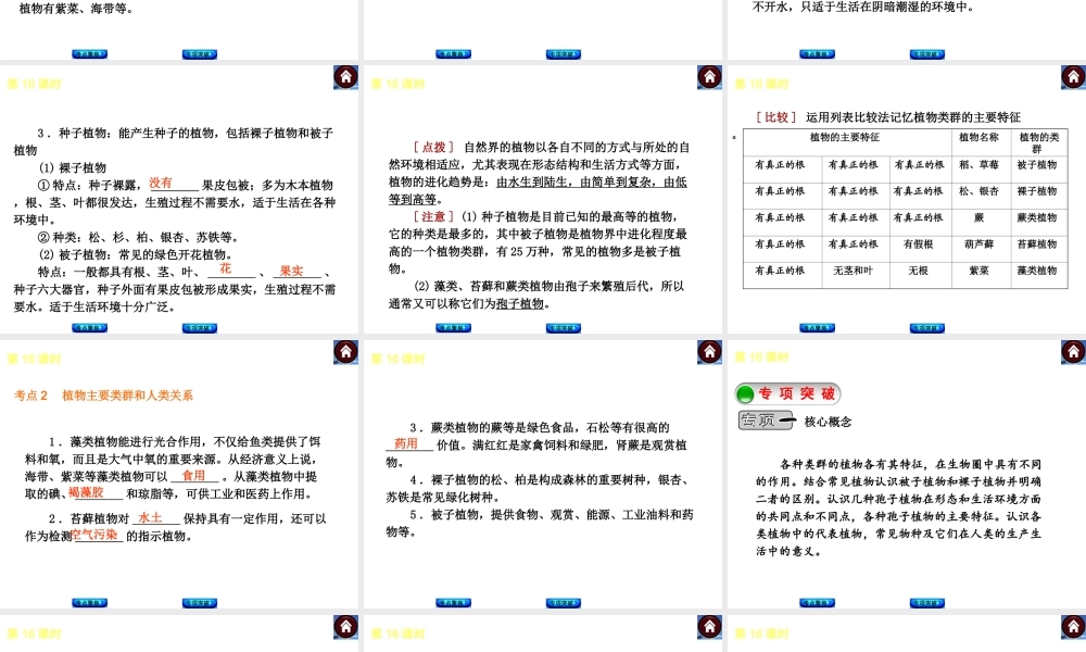 （新课标）2014中考生物复习方案 第5单元  生物的多样性（考点聚焦+归类探究+回归教材）课件 苏教版