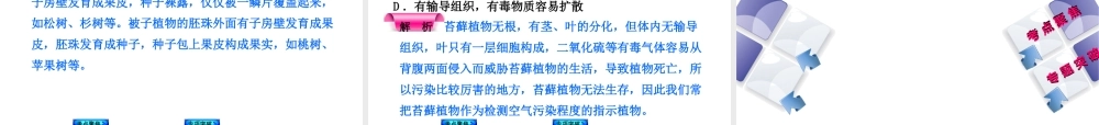 （新课标）2014中考生物复习方案 第5单元  生物的多样性（考点聚焦+归类探究+回归教材）课件 苏教版