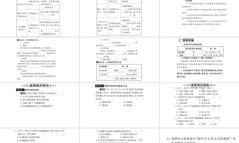 （广西玉林地区）中考生物 知识系统复习 第一单元 生物和生物圈课件-人教版初中九年级全册生物课件