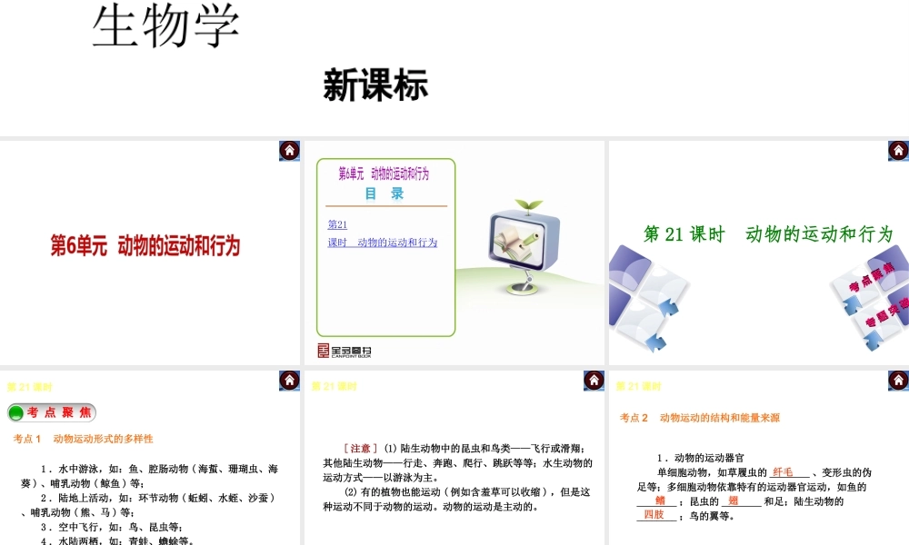 （新课标）2014中考生物复习方案 第6单元  动物的运动和行为（考点聚焦+归类探究+回归教材）课件 苏教版
