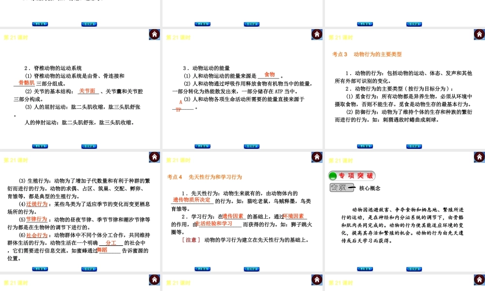 （新课标）2014中考生物复习方案 第6单元  动物的运动和行为（考点聚焦+归类探究+回归教材）课件 苏教版