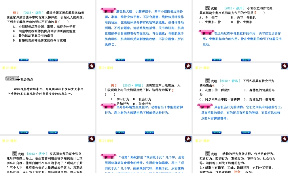 （新课标）2014中考生物复习方案 第6单元  动物的运动和行为（考点聚焦+归类探究+回归教材）课件 苏教版