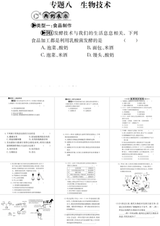 （广西玉林地区）中考生物 专题综合突破 专题八 生物技术课件-人教版初中九年级全册生物课件
