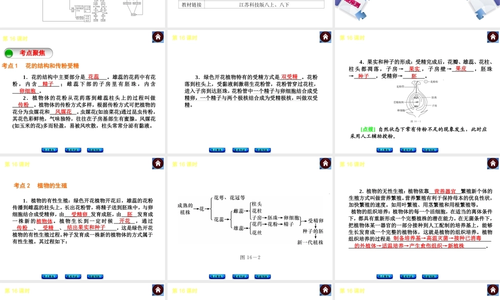 （新课标）2014中考生物复习方案 第6单元 生命的延续与进化（考点聚焦+重难突破+考题预测）课件 苏科版