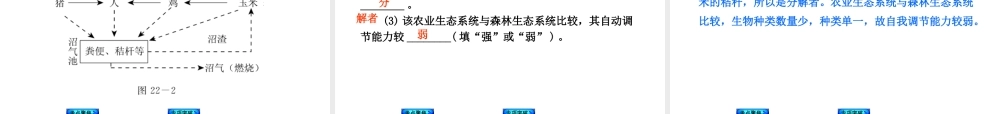 （新课标）2014中考生物复习方案 第7单元  生物和环境是统一体（考点聚焦+归类探究+回归教材）课件 苏教版