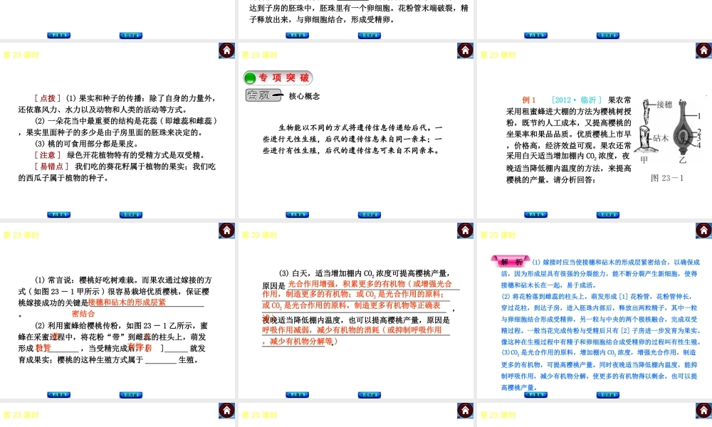 （新课标）2014中考生物复习方案 第8单元  生物的生殖、发育与遗传（考点聚焦+归类探究+回归教材）课件 苏教版