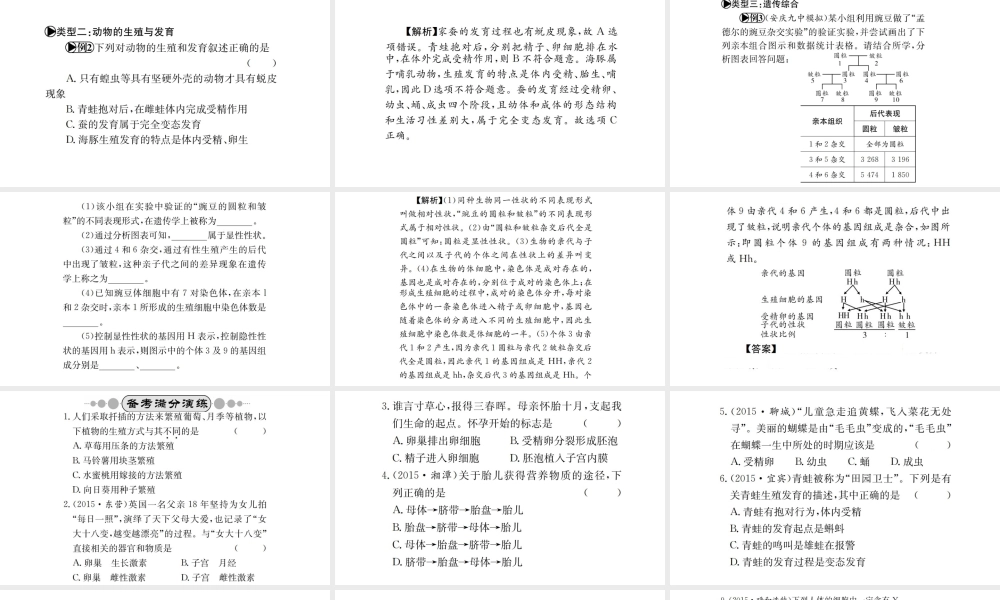 （广西玉林地区）中考生物 专题综合突破 专题六 生物的生殖、发育与遗传课件-人教版初中九年级全册生物课件