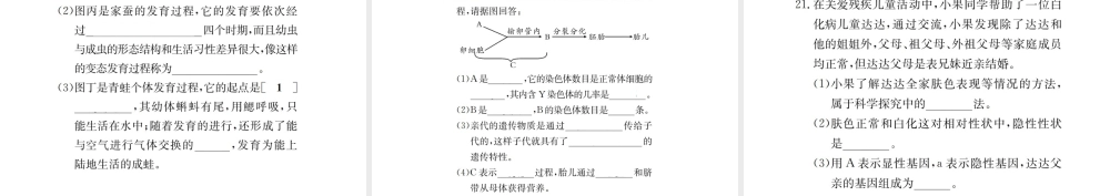 （广西玉林地区）中考生物 专题综合突破 专题六 生物的生殖、发育与遗传课件-人教版初中九年级全册生物课件