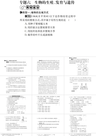 （广西玉林地区）中考生物 专题综合突破 专题六 生物的生殖、发育与遗传课件-人教版初中九年级全册生物课件