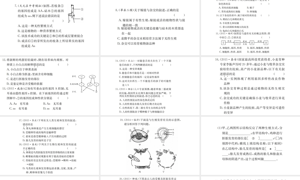 （广西玉林地区）中考生物 专题综合突破 专题六 生物的生殖、发育与遗传课件-人教级全册生物课件