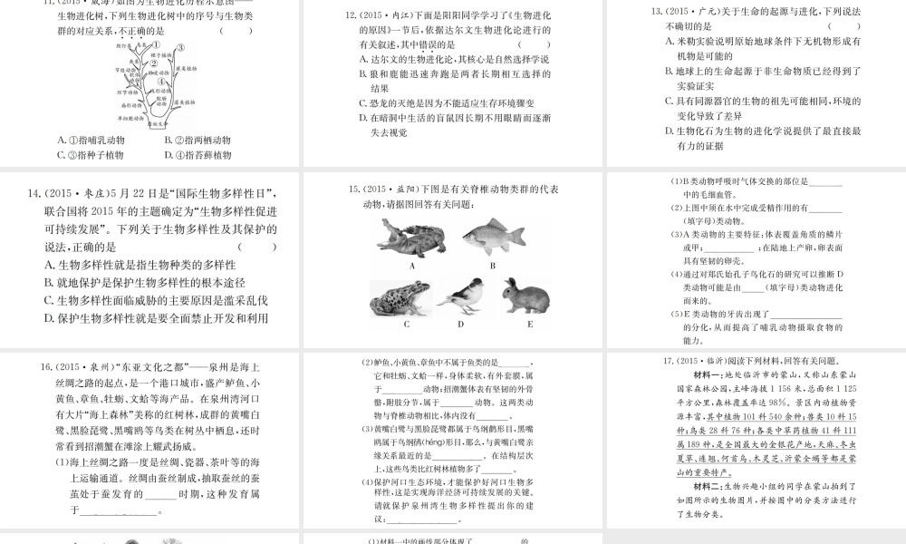 （广西玉林地区）中考生物 专题综合突破 专题七 生物的多样性课件-人教版初中九年级全册生物课件