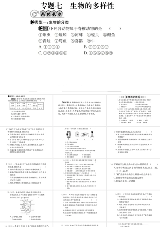 （广西玉林地区）中考生物 专题综合突破 专题七 生物的多样性课件-人教版初中九年级全册生物课件