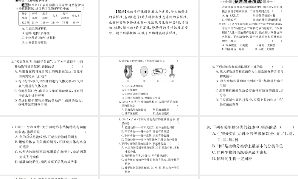 （广西玉林地区）中考生物 专题综合突破 专题七 生物的多样性课件-人教级全册生物课件