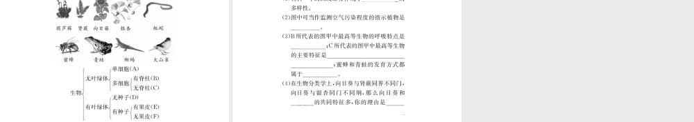 （广西玉林地区）中考生物 专题综合突破 专题七 生物的多样性课件-人教级全册生物课件
