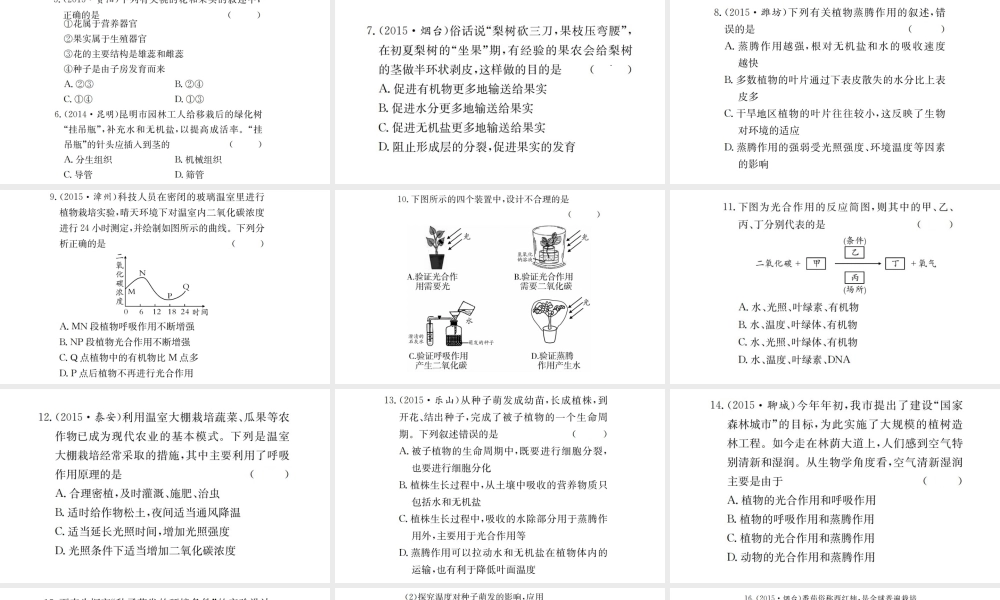 （广西玉林地区）中考生物 专题综合突破 专题三 生物圈中的绿色植物课件-人教版初中九年级全册生物课件