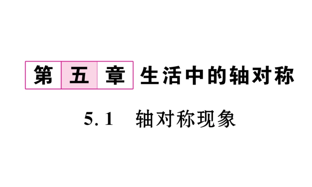 （毕节专版）七年级数学下册 5.1 轴对称现象课件 （新版）北师大版-（新版）北师大版初中七年级下册数学课件