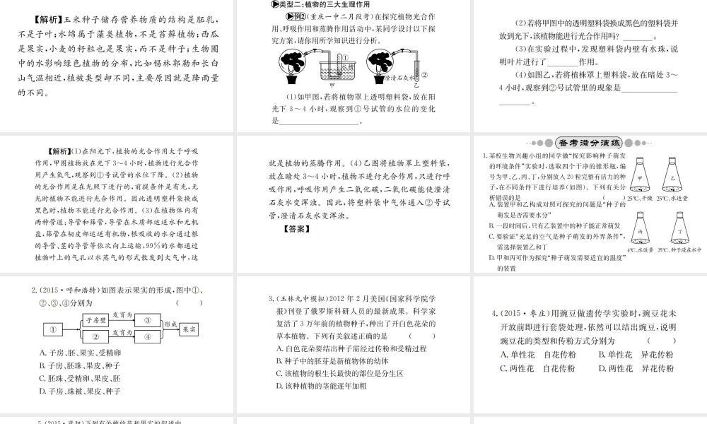 （广西玉林地区）中考生物 专题综合突破 专题三 生物圈中的绿色植物课件-人教级全册生物课件